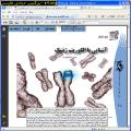 /UserFiles/34952950.jpg